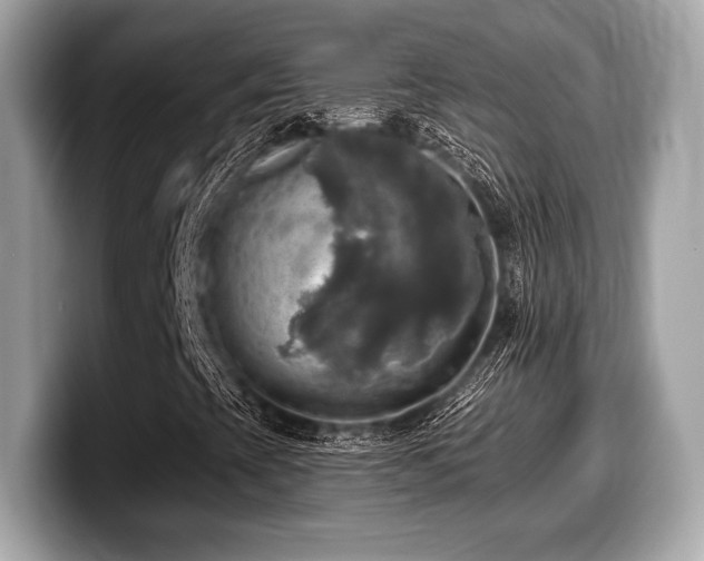 X0000099951393200805231312