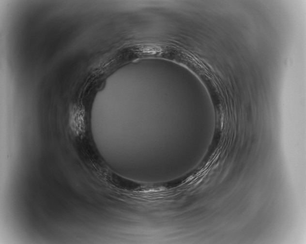 X0000099951394200805231312