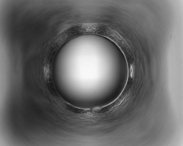 X0000099951395200805231312