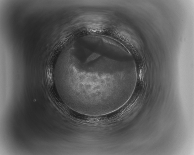 X0000099951396200805231312
