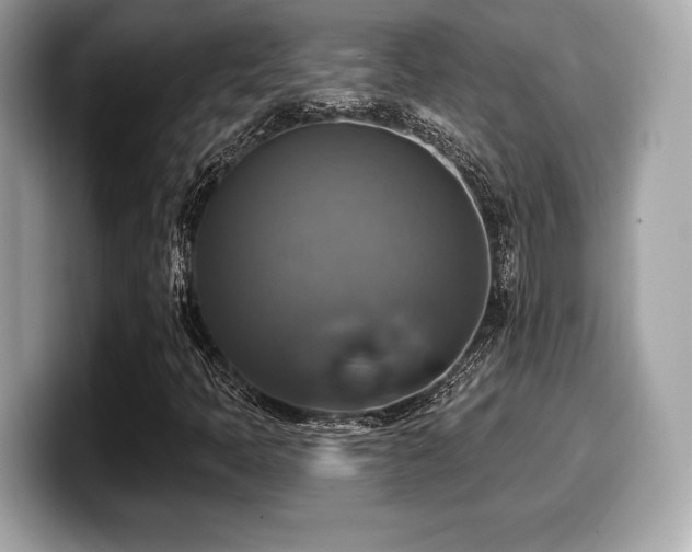 X0000099951397200805231312