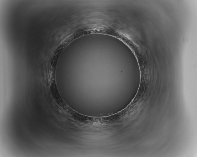 X0000099951399200805231312