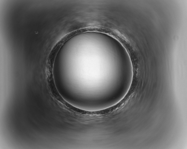 X0000099951400200805231312