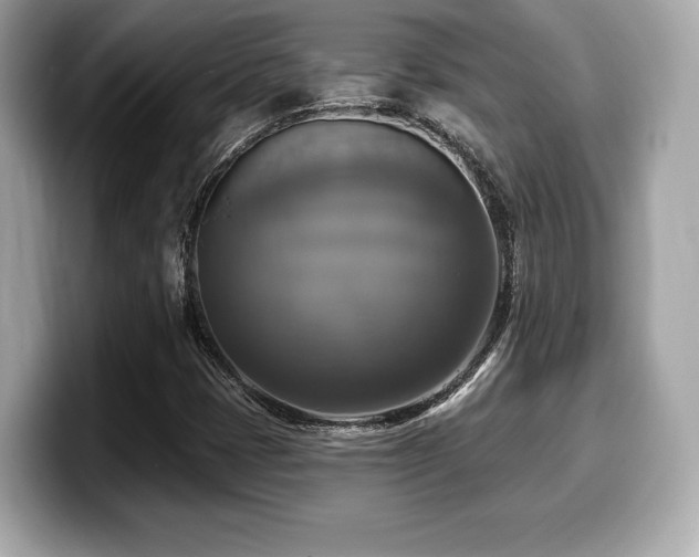 X0000099951401200805231312
