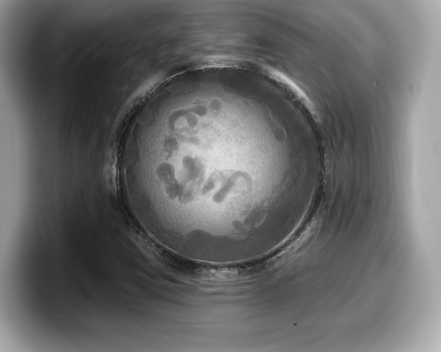 X0000099951403200805231312