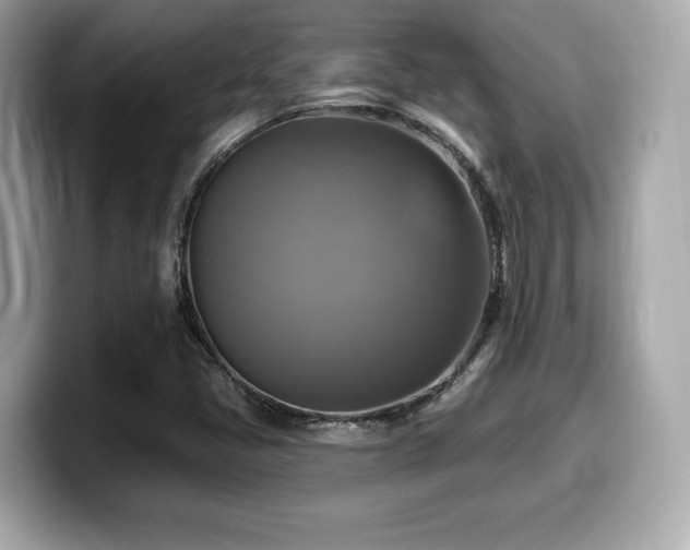 X0000099951405200805231312