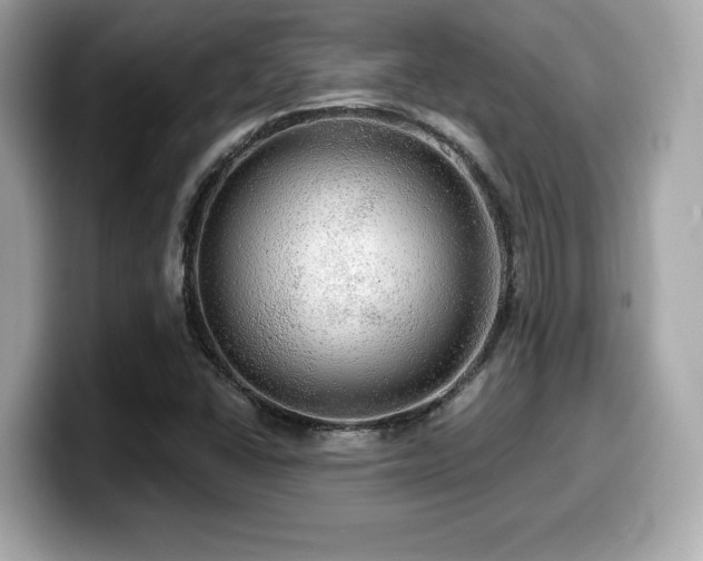 X0000099951406200805231312