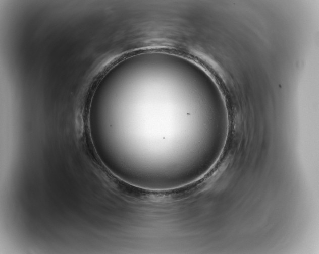 X0000099951407200805231312