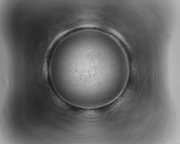 X0000099951408200805231312