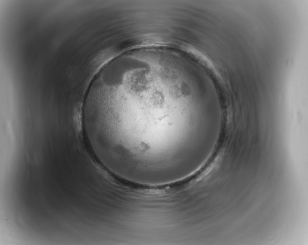 X0000099951409200805231312