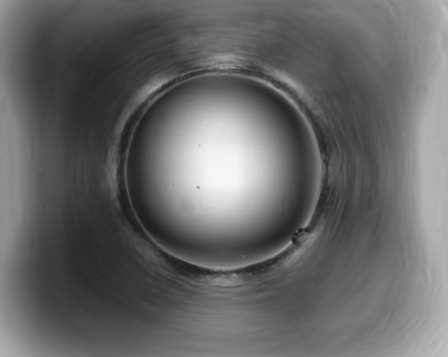 X0000099951410200805231312