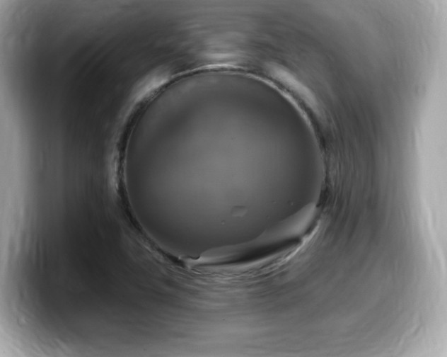 X0000099951411200805231312
