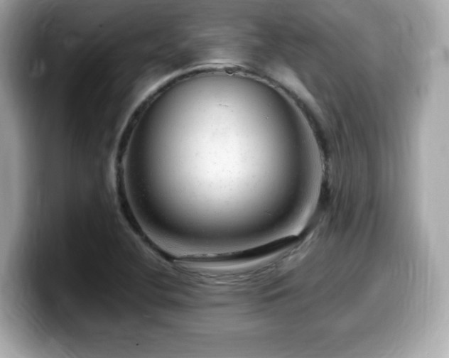 X0000099951412200805231312