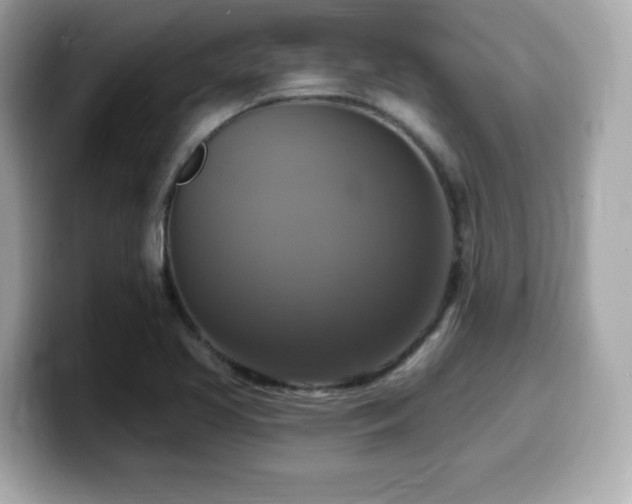 X0000099951413200805231312