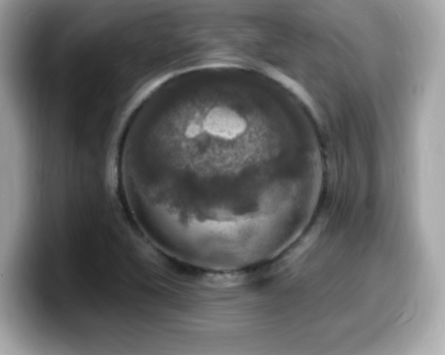 X0000099951415200805231312