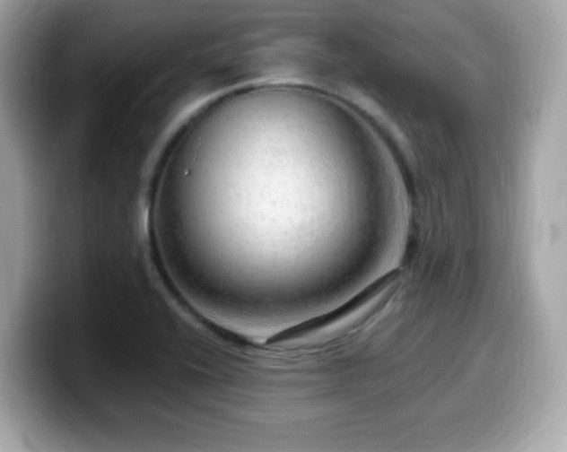 X0000099951416200805231312