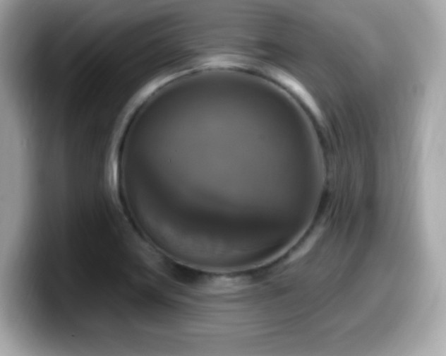 X0000099951419200805231312