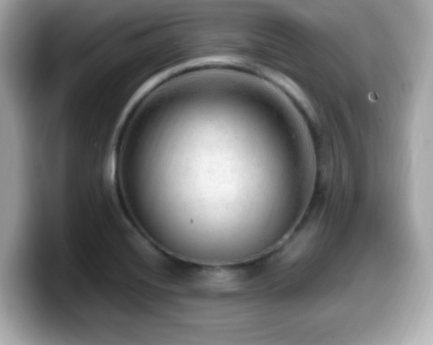 X0000099951420200805231312