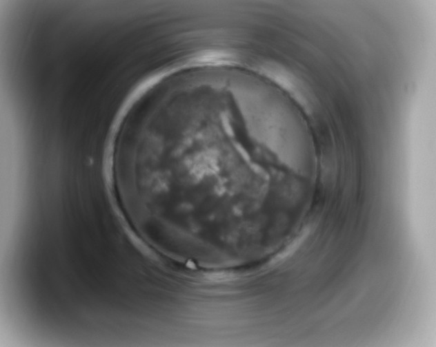 X0000099951421200805231312