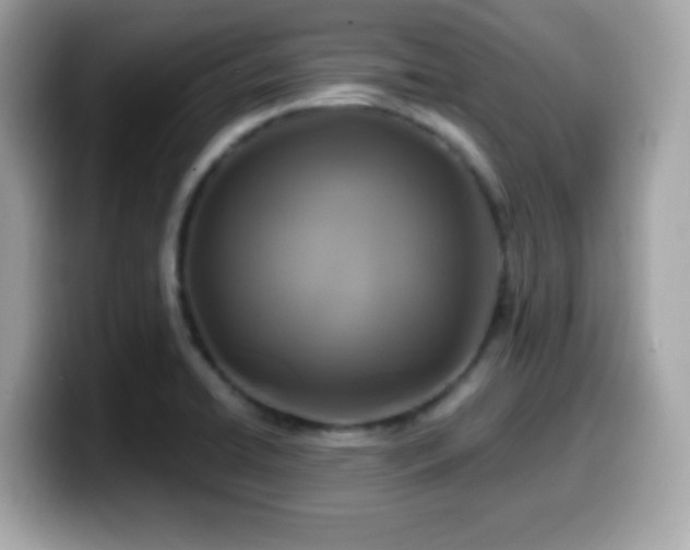X0000099951422200805231312