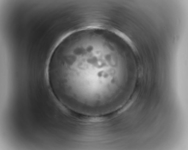 X0000099951423200805231312