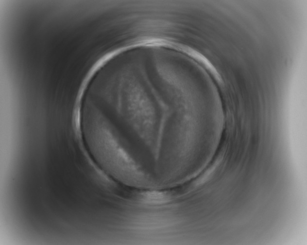 X0000099951424200805231312