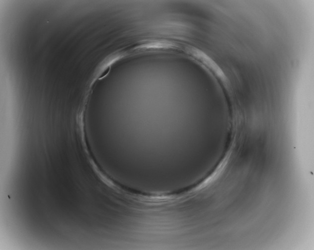X0000099951425200805231312