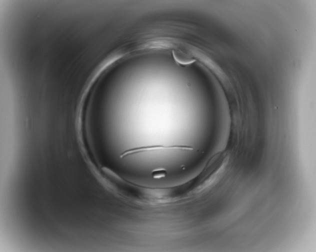 X0000099951426200805231312