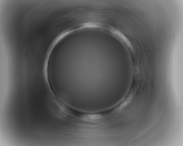 X0000099951427200805231312