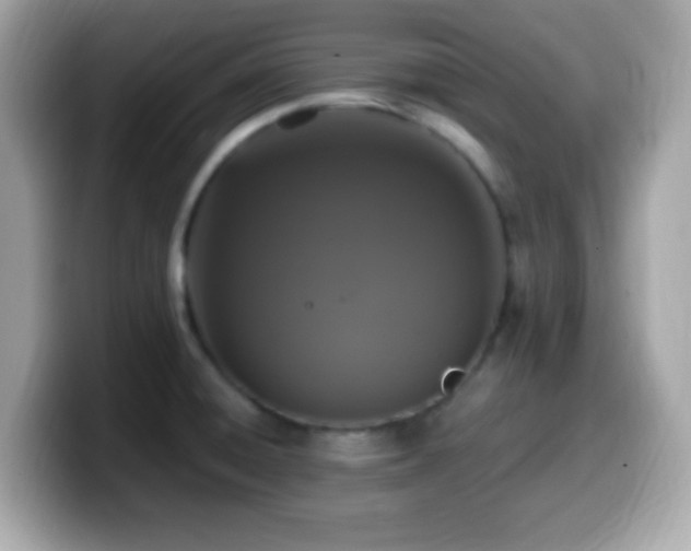 X0000099951428200805231312