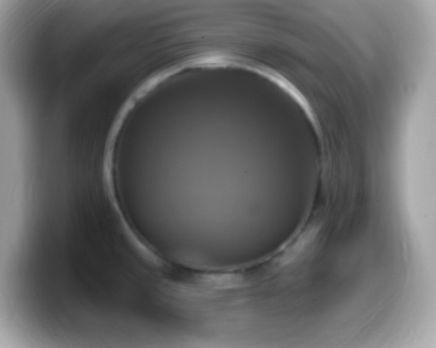 X0000099951429200805231312