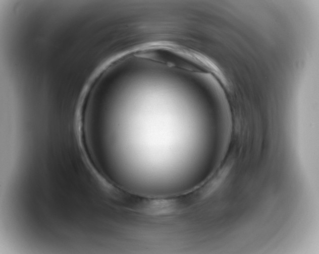 X0000099951430200805231312