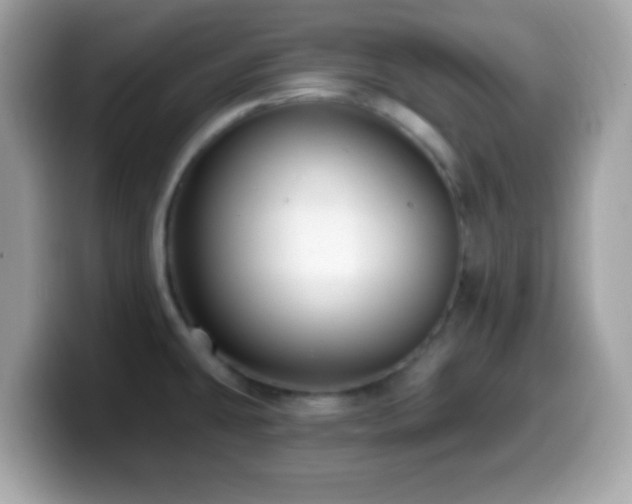 X0000099951431200805231312