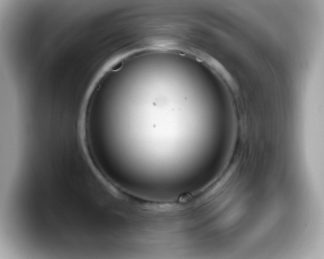 X0000099951432200805231312