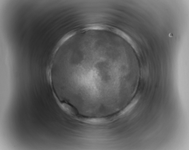 X0000099951433200805231312