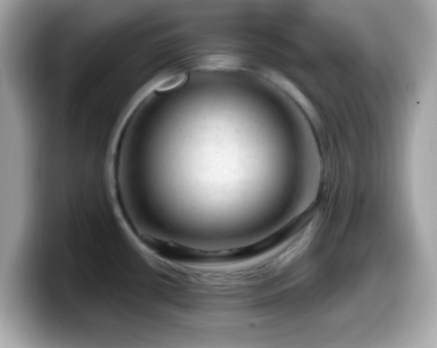 X0000099951434200805231312
