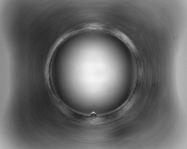 X0000099951435200805231312