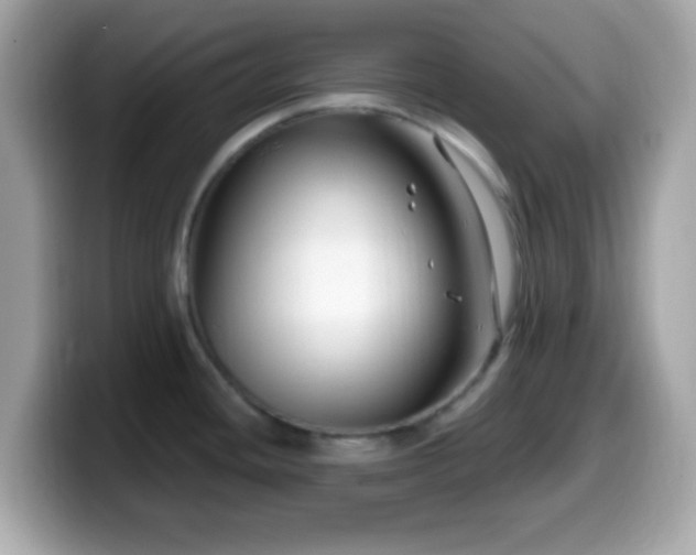 X0000099951436200805231312