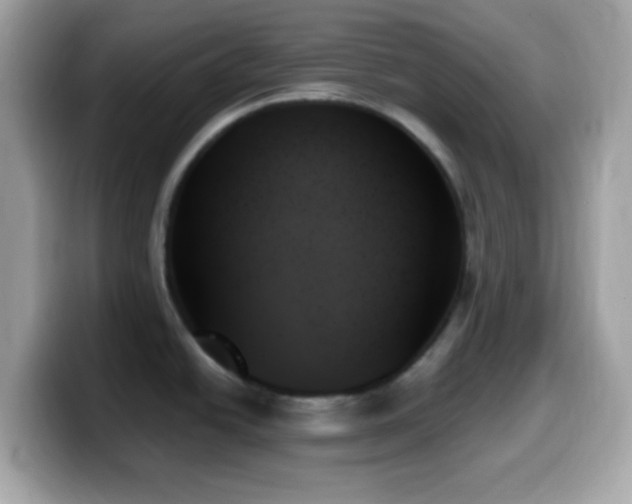 X0000099951438200805231312