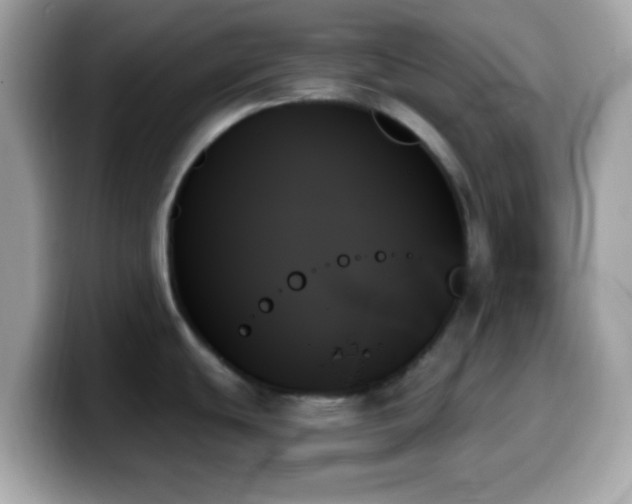 X0000099951439200805231312