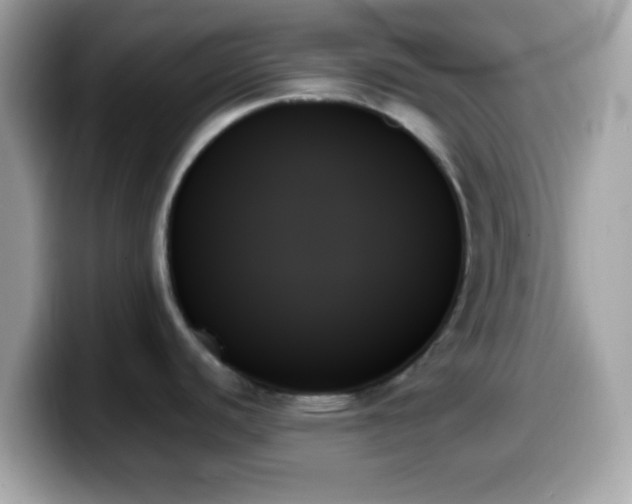 X0000099951440200805231312