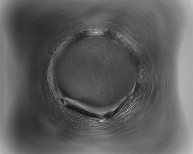 X0000099951441200805231312