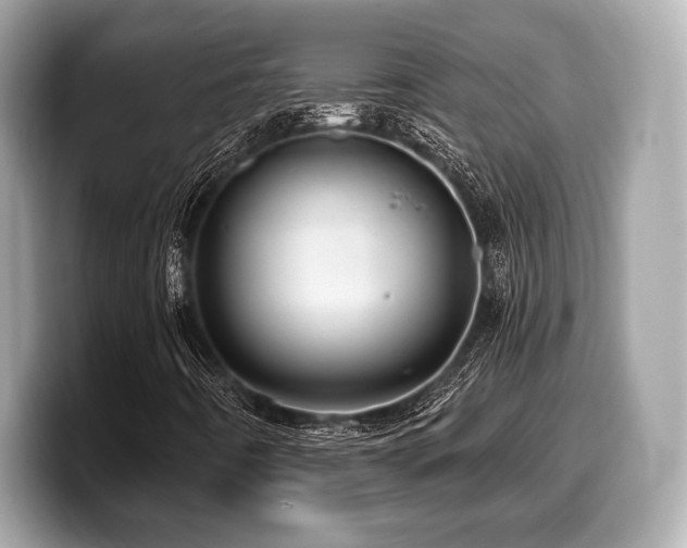 X0000099951442200805231312