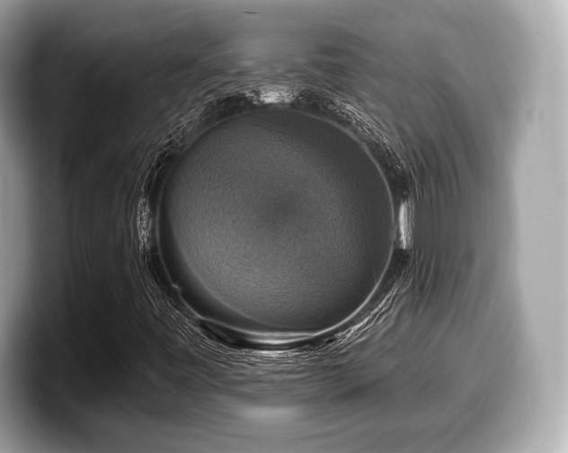 X0000099951443200805231312