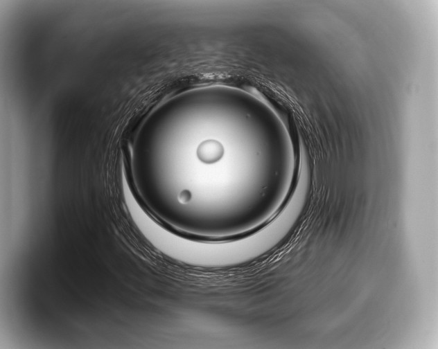 X0000099951444200805231312
