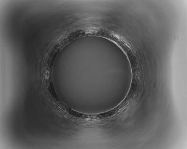 X0000099951445200805231312