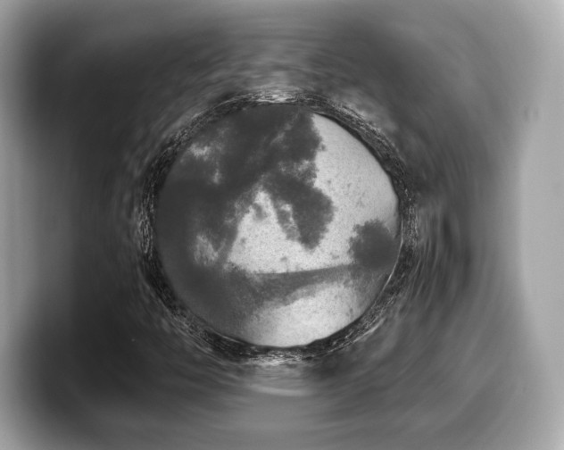 X0000099951446200805231312