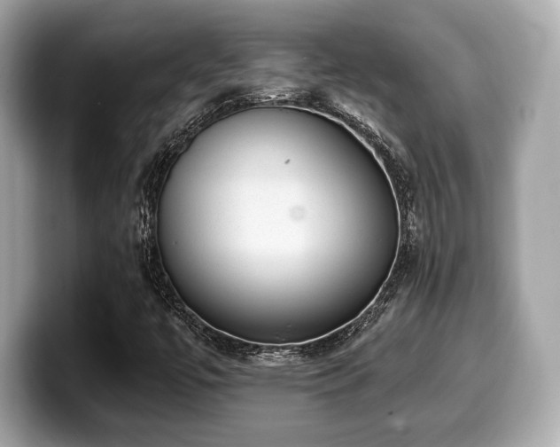 X0000099951447200805231312