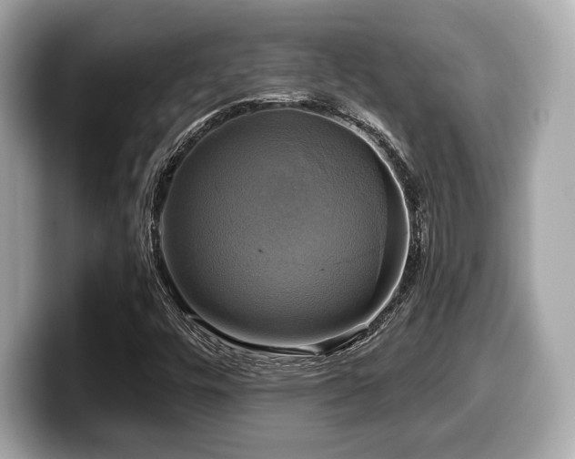 X0000099951448200805231312