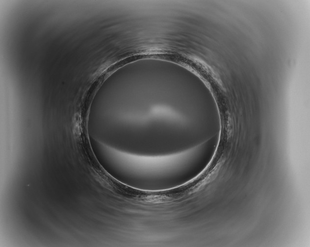 X0000099951449200805231312